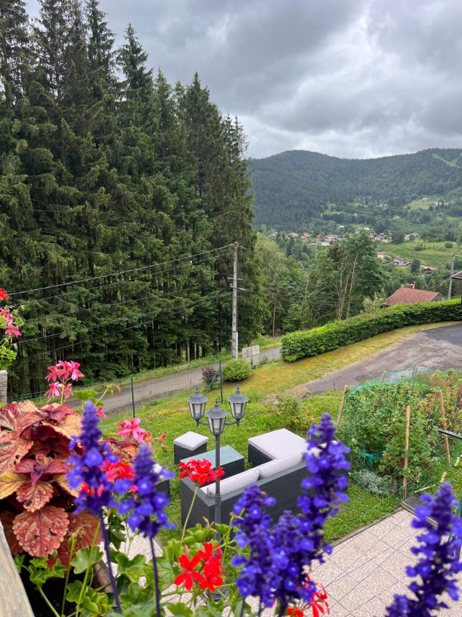 ヴォントロン Au 21 Vosgien Bed & Breakfast エクステリア 写真